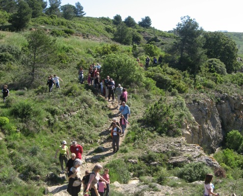 Balade en garrigue